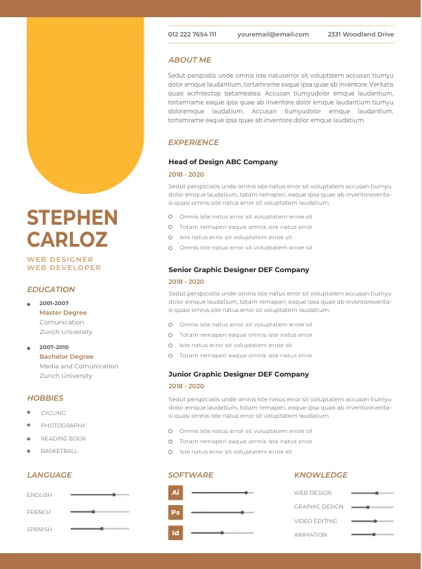 Professional CV Resume Template 2