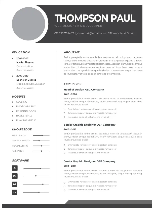 Professional CV Resume Template 4