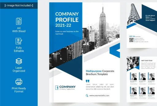 the company profile 2