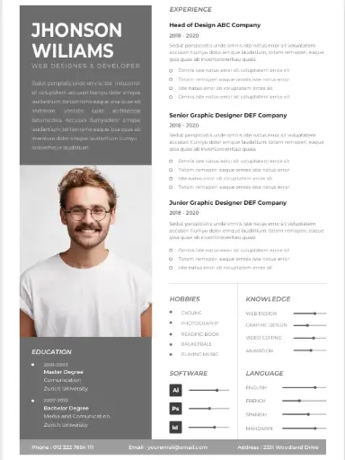Professional CV Resume Template 1